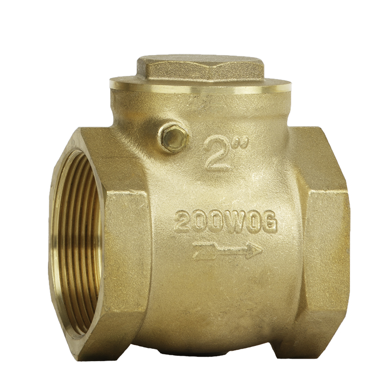 Brass - 200 psi Threaded End Check Valve (CVB Series)